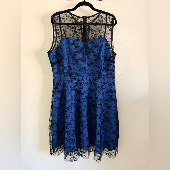 None Dresses & Skirts - NWOT Chic Blue and Black Lace Dress